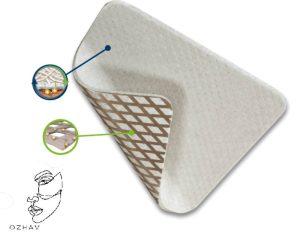 مکانیسم نقره 