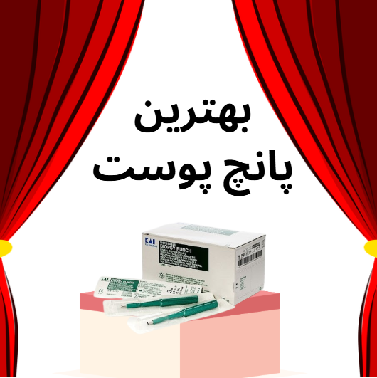 بهترین پانچ پوست