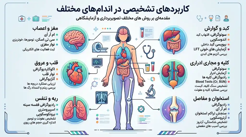 کاربردهای تشخیصی در اندام های مختلف